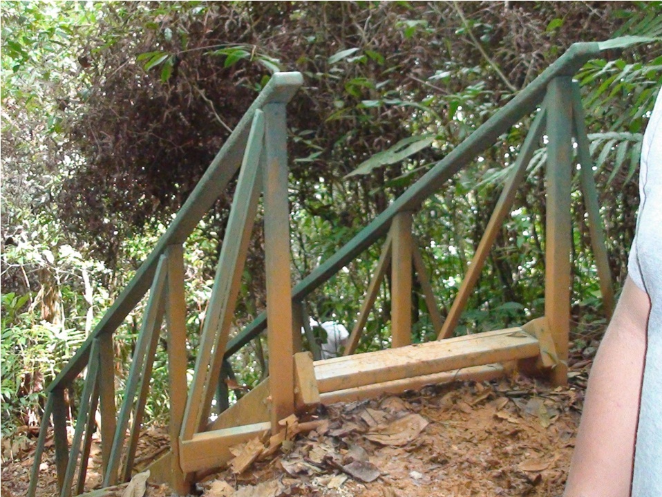 puentes escaleras caminos senderos escaleras para pasos inclinados subir pendientes resbalosas con escaleras maderas plásticas maderplast escalera de asenso peligroso resbaloso campo agrícola 3 puentes escaleras caminos senderos escaleras para pasos inclinados subir pendientes resbalosas con escaleras maderas plásticas maderplast escalera de asenso peligroso resbaloso campo agrícola 3
